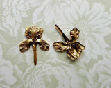 Brass Iris Stampings x 2 - 147RAT.
