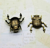 Brass Beetle Stampings x 2 - 6917RAT.