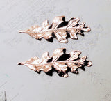 Medium Shiny Rose Gold Oak Leaf Stampings (2) - PRGS2988