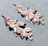 Medium Shiny Rose Gold Oak Leaf Stampings (2) - PRGS2988