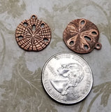 Rose Gold Ox Sand Dollar Charms (2) - RGS7508