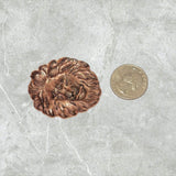 Large Brass Oxidized Copper Lion Head Stamping x 1 - 7856COSG