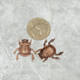 Oxidized Copper Beetle Stampings x 2 - 6917CORAT