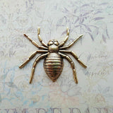 Large Brass Spider Stamping x 1 - 14047FFA.