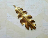 Large Brass Oak Leaf Stamping - 2987S.