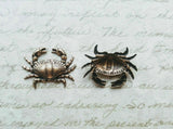 Small Brass Crab Stampings x 2 - 6813RAT.