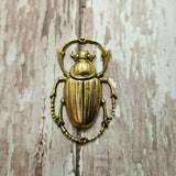 Large Brass Beetle Stamping x 1 - 8980FFA.