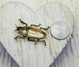 Large Brass Beetle Stamping x 1 - 8989FFA.