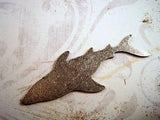 Oxidized Silver Plated Solid Brass Shark Stamping (1) - SOS5524